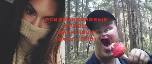 Альфа ПВП Медногорск