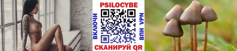 закладка  Удачный  Псилоцибиновые грибы мухоморы 